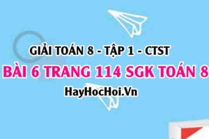 Giải bài 6 trang 114 Toán 8 Tập 1 SGK Chân trời sáng tạo